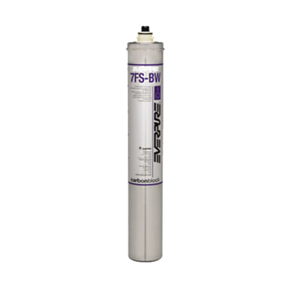 Everpure EV962716 3.25 Inch Water Filter Cartridge Reduces Chlorine Taste Odors Everpure EV962716 3.25 Inch Water Filter Cartridge Reduces Chlorine Taste Odors