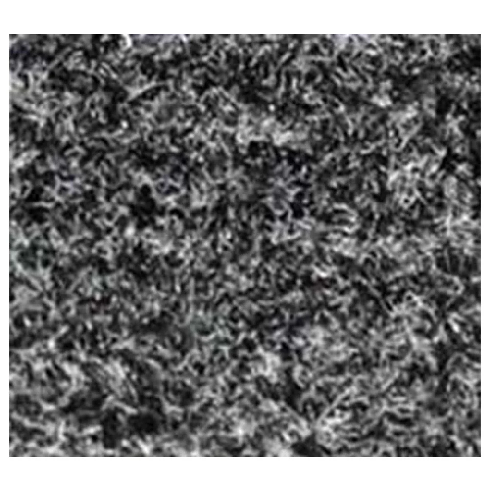 Royal Industries CARPET 3 X 5 HC Floor Mat 3' X 5' 100% Olefin Fiber Royal Industries CARPET 3 X 5 HC Floor Mat 3' X 5' 100% Olefin Fiber