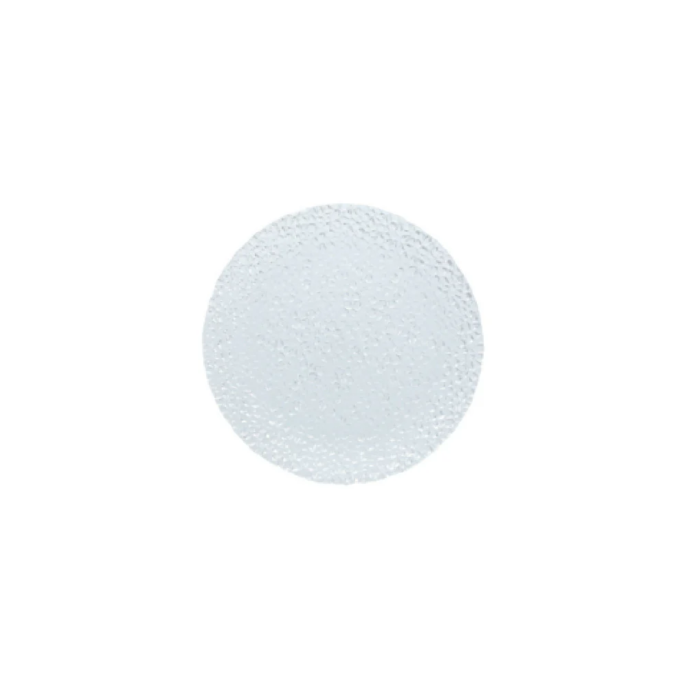 Fortessa RRPG.323721P 8.25 Inch Coupe Plate Case of 24 China with Flat Edge