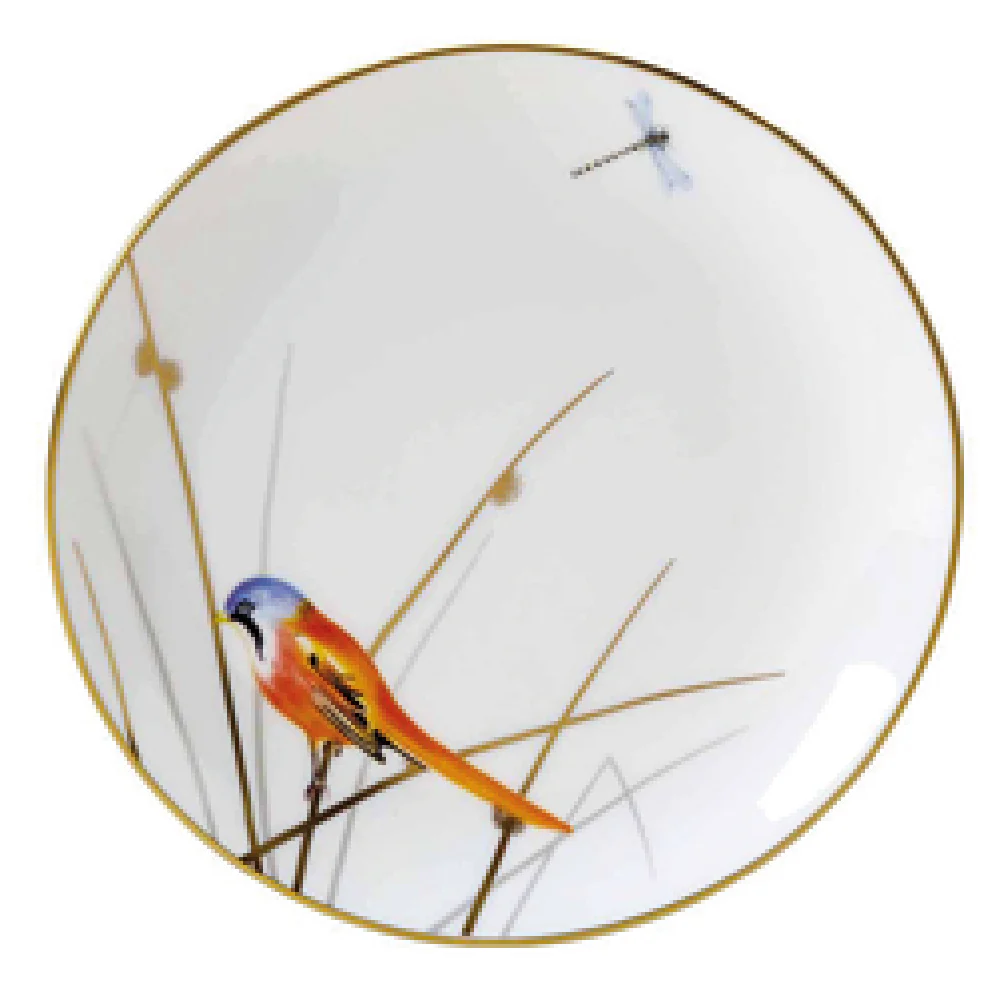 Steelite 82108AND0421 6.5 Inch Coupe Plate Signature Bone China Packs of 12 Steelite 82108AND0421 6.5 Inch Coupe Plate Signature Bone China Packs of 12