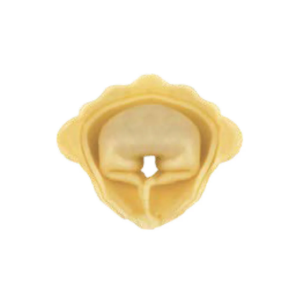 Arcobaleno Pasta Equipment MOLD-ACAP140-A2C Tortelloni Mold 8 Grams Scalloped Edge Arcobaleno Pasta Equipment MOLD-ACAP140-A2C Tortelloni Mold 8 Grams Scalloped Edge