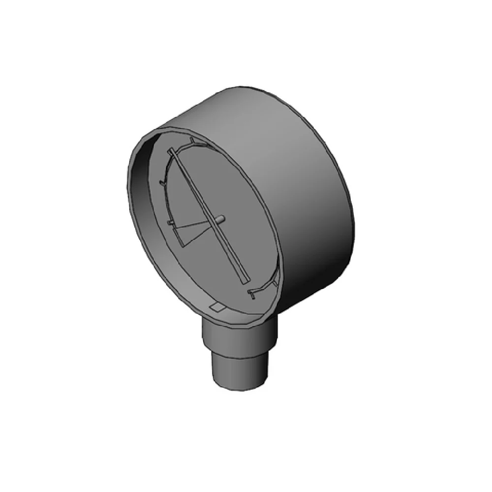 Everpure EV311409 1/8 Inch Gauge Pressure Relief Valve 160 PSI Stainless Steel