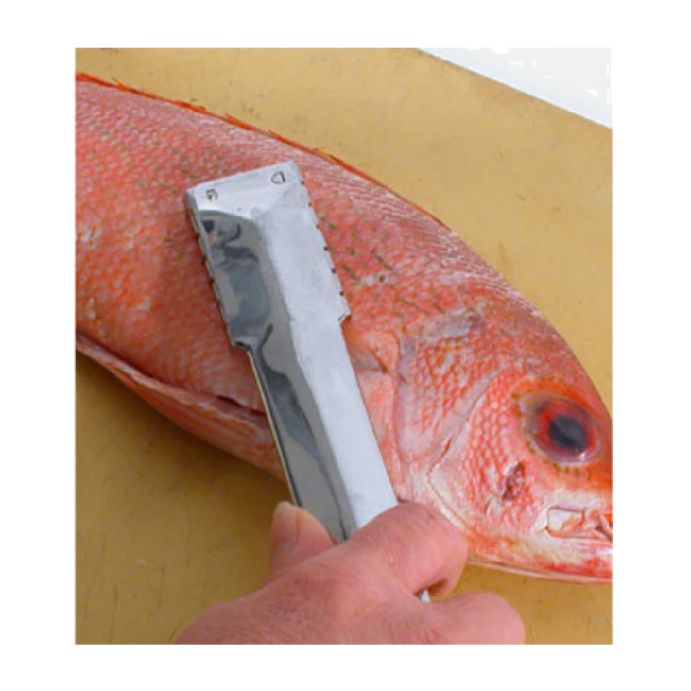 Town 48607 9 Inch Stainless Steel Fish Scaler Manual for Fish Scaling