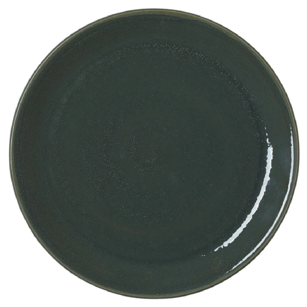 Steelite 17780544 11 Inch Taste Coupe Plate Jade Alumina Vitrified China Steelite 17780544 11 Inch Taste Coupe Plate Jade Alumina Vitrified China