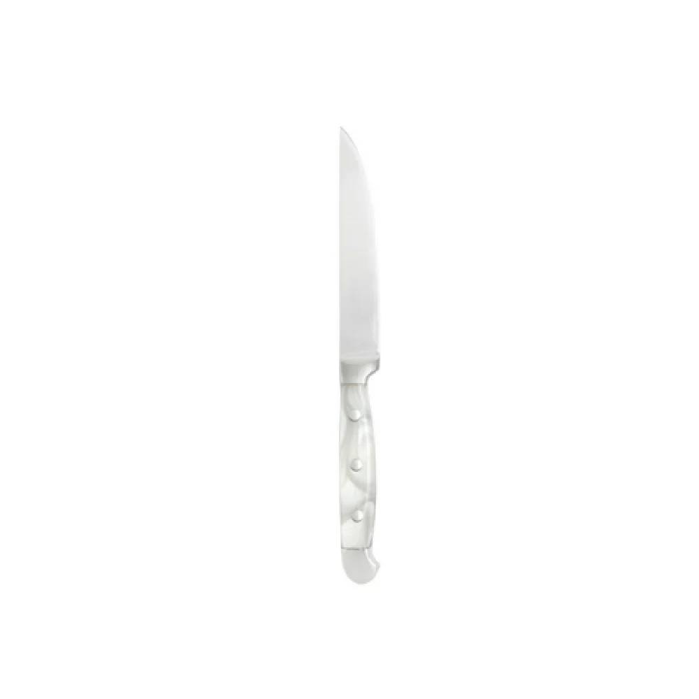 Fortessa 1.5.STK.NS.273 9.1 Inch Blade 18/10 Stainless Steel Non Serrated Knife Fortessa 1.5.STK.NS.273 9.1 Inch Blade 18/10 Stainless Steel Non Serrated Knife