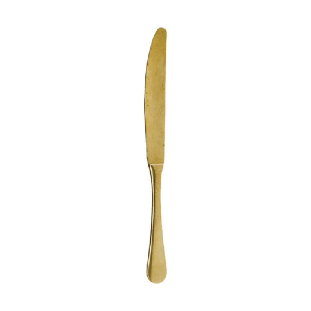 Arc Cardinal FP702 9.38 Inch Dinner Knife 18/10 Stainless Steel Abert Matisse Gold Vintage Arc Cardinal FP702 9.38 Inch Dinner Knife 18/10 Stainless Steel Abert Matisse Gold Vintage