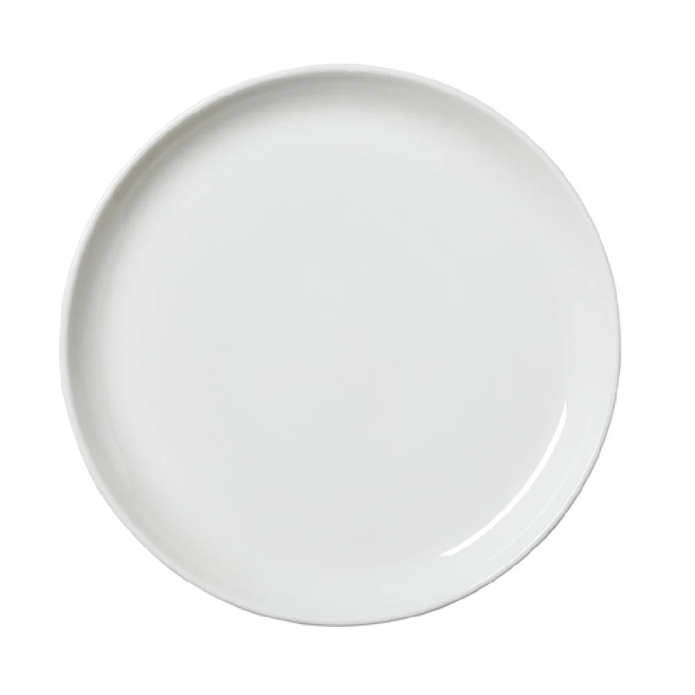 Steelite 11070634 10 Inch Nordic Coupe Plate Taste China