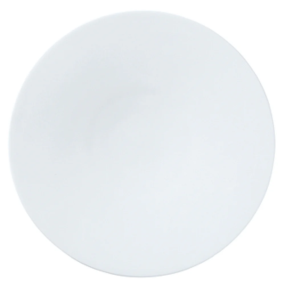 Steelite 82000AND0471 8.75 Inch Plate Round with Snipe Deco Bone China
