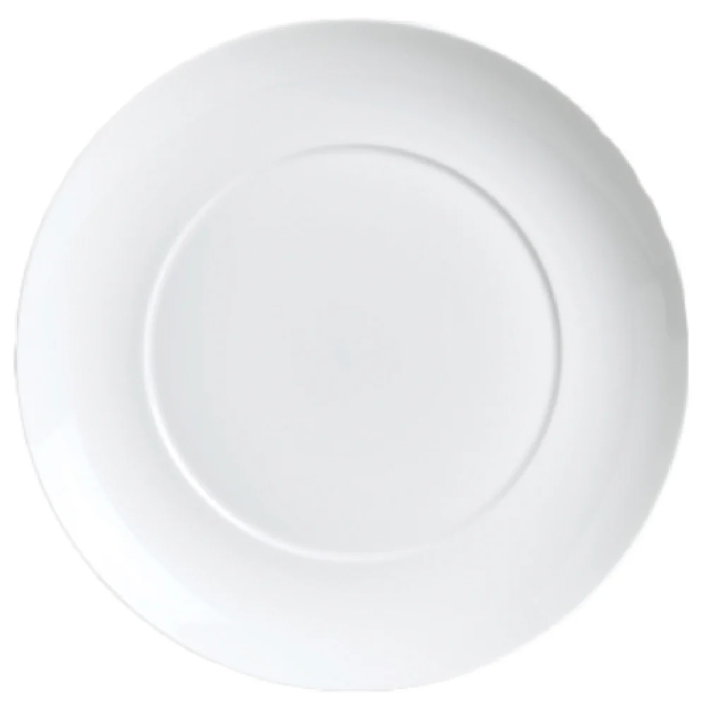 Steelite 6301P214 8-1/4 Inch Diameter Round Plate Porcelain Chip Resistant Steelite 6301P214 8-1/4 Inch Diameter Round Plate Porcelain Chip Resistant