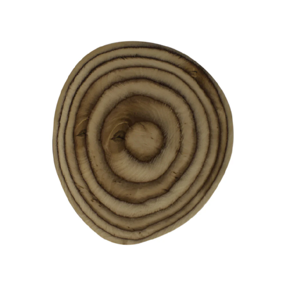 Steelite 6525DL004 12 Inch Plate Creations Wood Round Pack of 6