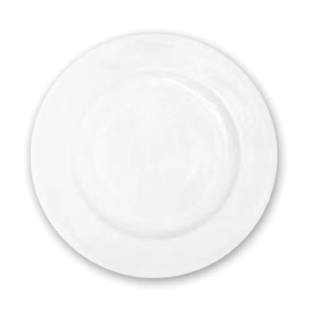 Tableware Solutions USA 75CCNOU196 12-1/4 Inch Diameter Round Plate China with Scratch Resistant Oven and Microwave Safe