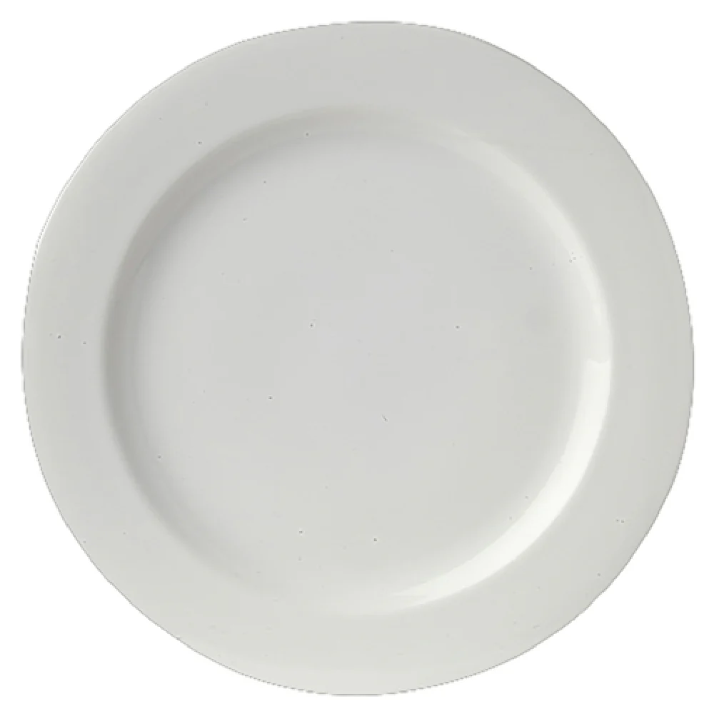 Steelite 61101ST0250 12.5 Inch Avalon Plate Porcelain Round with Wide Rim