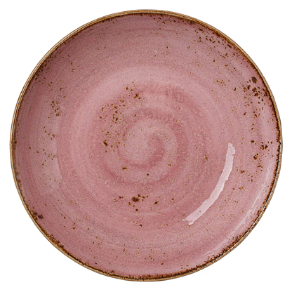 Steelite 12100569 Bowl 44 Oz 10 Inch Diameter Round Coupe Vitrified Ceramic with Dishwasher Microwave Freezer Safe Steelite 12100569 Bowl 44 Oz 10 Inch Diameter Round Coupe Vitrified Ceramic with Dishwasher Microwave Freezer Safe