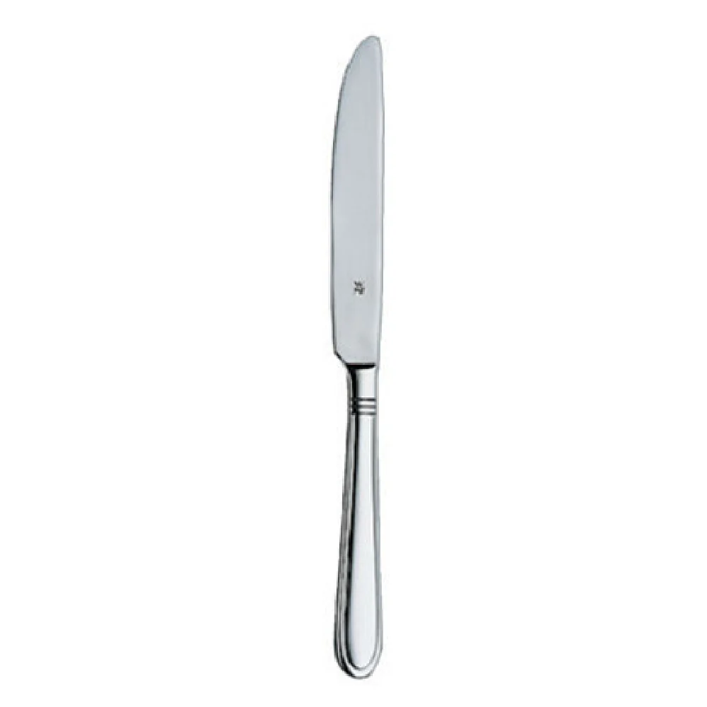 BauscherHepp 11.4703.6049 8-1/2 Inch Monobloc Dinner Knife 18/10 Stainless Steel Polished Finish BauscherHepp 11.4703.6049 8-1/2 Inch Monobloc Dinner Knife 18/10 Stainless Steel Polished Finish