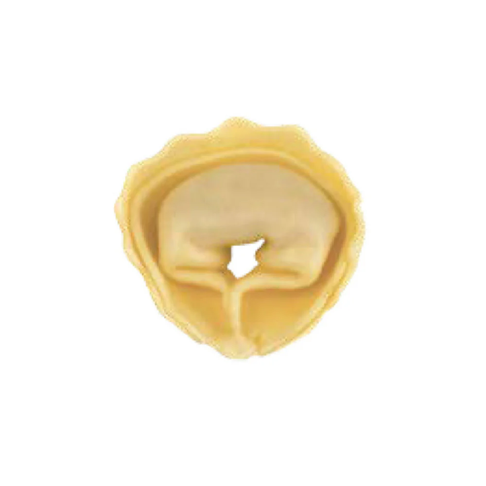 Arcobaleno Pasta Equipment MOLD-ACAP140-A2A 8 Grams Tortelloni Mold Scalloped Edge Arcobaleno Pasta Equipment MOLD-ACAP140-A2A 8 Grams Tortelloni Mold Scalloped Edge