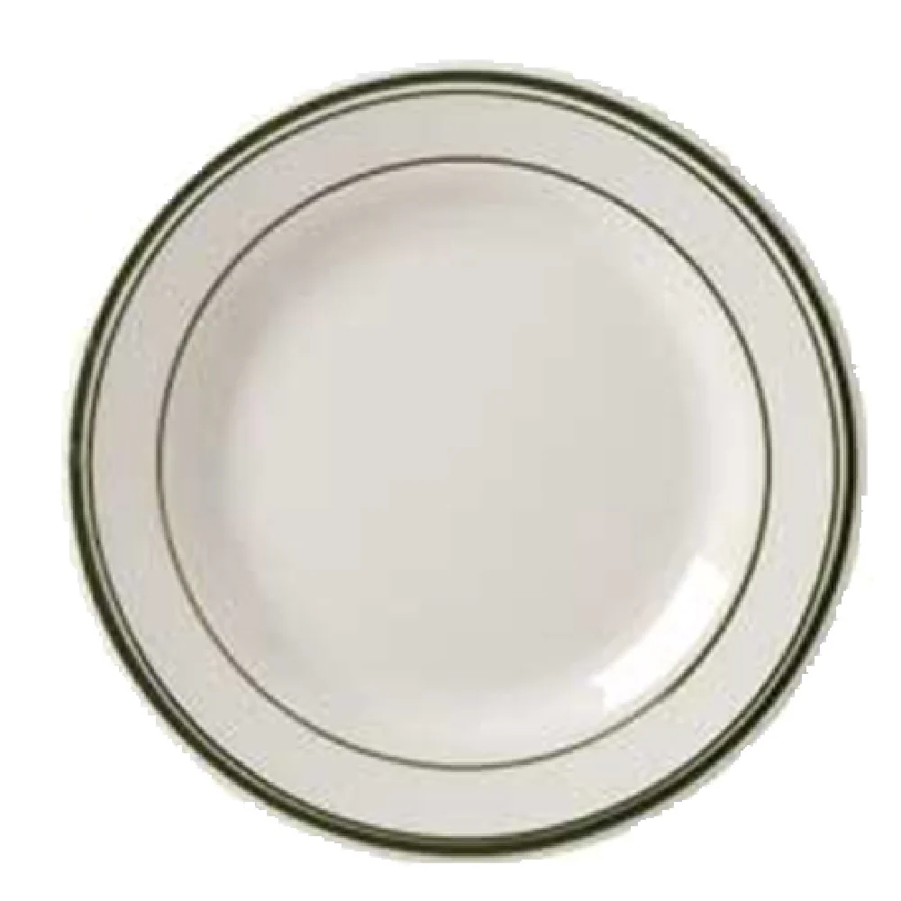Vertex China DMG-8 9 Inch Diameter Plate Round Vitrified China with Microwave and Dishwasher Safe