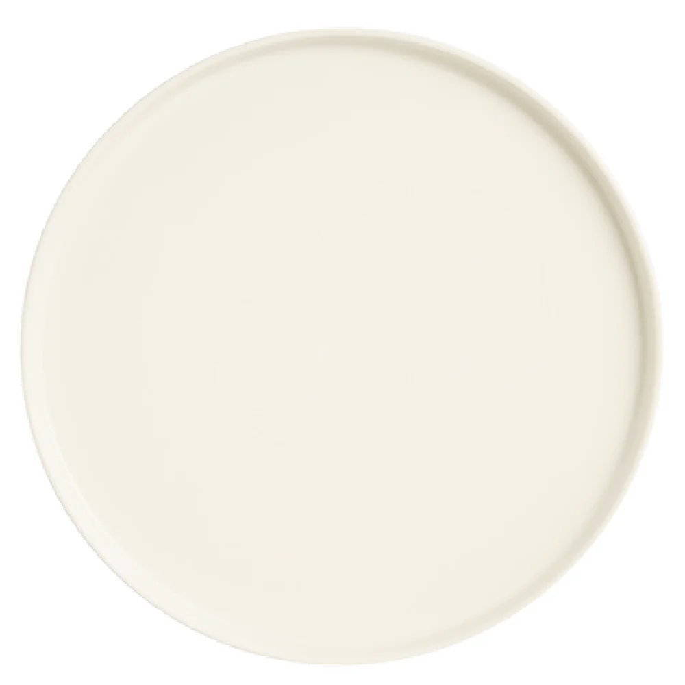 Arc Cardinal N5971 9-3/4 Inch Diameter Round Plate Porcelain China