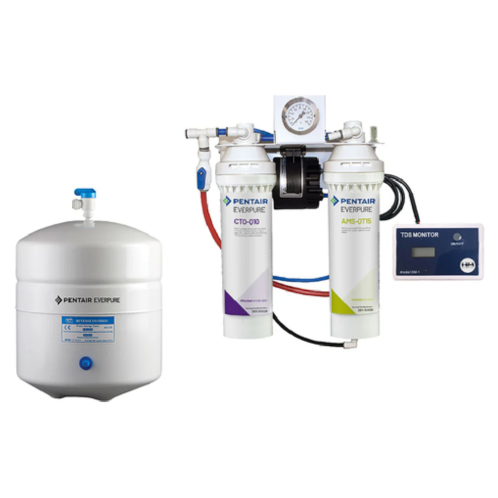 Everpure BWS175/2 175 GPD Reverse Osmosis System with CTO-Q10 Prefilter