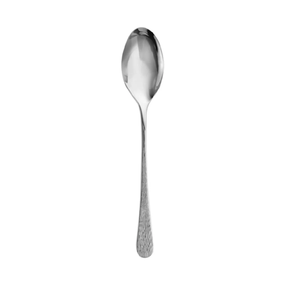 Steelite 6029SX061 10 Inch Solid Serving Spoon 18/10 Stainless Steel Steelite 6029SX061 10 Inch Solid Serving Spoon 18/10 Stainless Steel