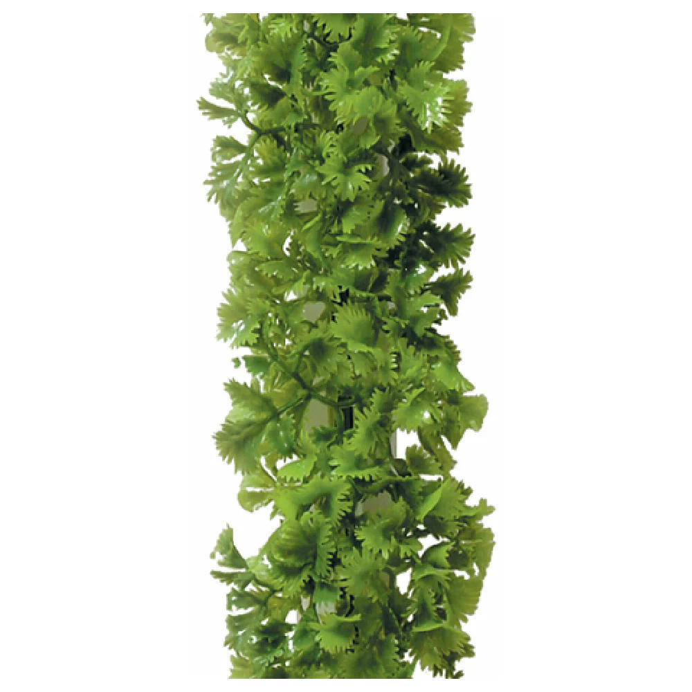 BauscherHepp G35 9-3/4 Inch Parsley Divider Green Polyethylene PVC Base BauscherHepp G35 9-3/4 Inch Parsley Divider Green Polyethylene PVC Base