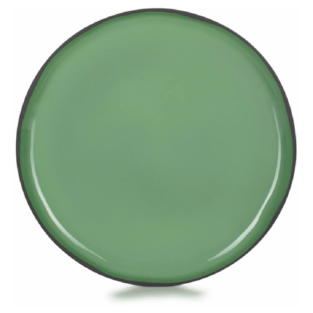 Revol 652704 10-1/4 Inch Dinner Plate Porcelain Round Low Oven Safe Revol 652704 10-1/4 Inch Dinner Plate Porcelain Round Low Oven Safe