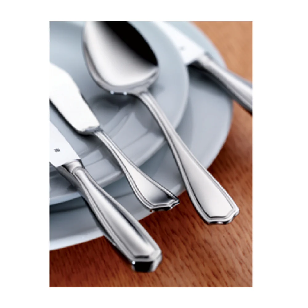 BauscherHepp 12.4878.6047 8-3/4 Inch Forged Stainless Steel Steak Knife BauscherHepp 12.4878.6047 8-3/4 Inch Forged Stainless Steel Steak Knife