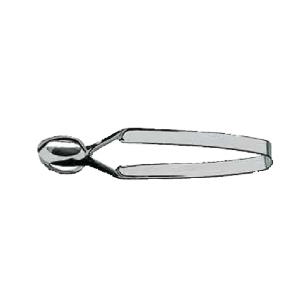 BauscherHepp 12.8291.6040 6 Inch Snail Tweezer With Stainless Steel