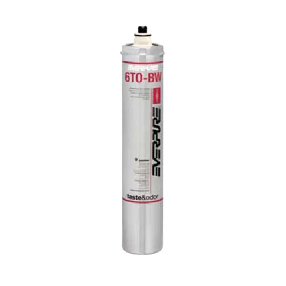 Everpure EV960741 6TO-BW Cartridge reduces taste and odor 24000 Gallons Everpure EV960741 6TO-BW Cartridge reduces taste and odor 24000 Gallons