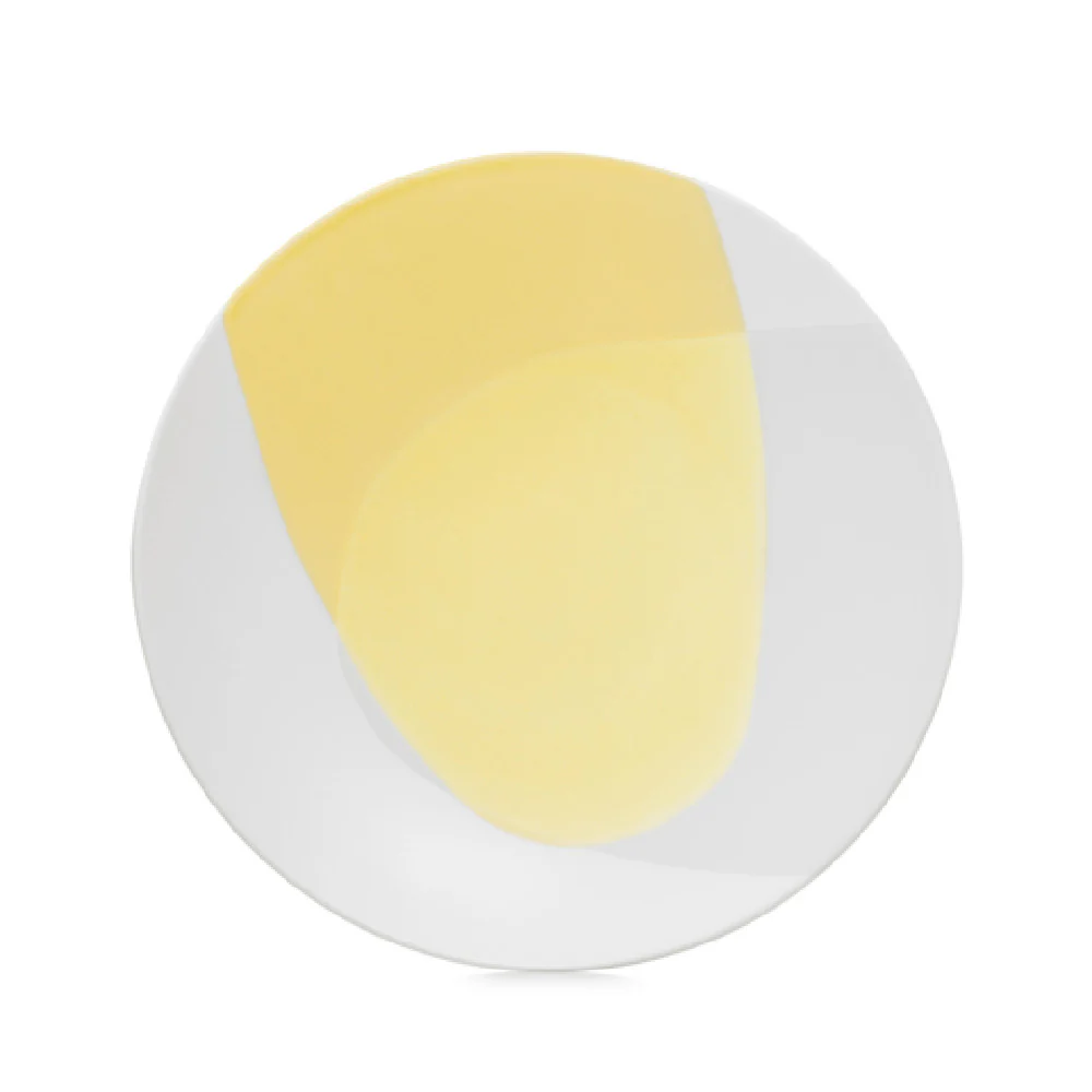 Revol 660915 10-1/4 Inch Round Dinner Plate Porcelain White Made in France Revol 660915 10-1/4 Inch Round Dinner Plate Porcelain White Made in France