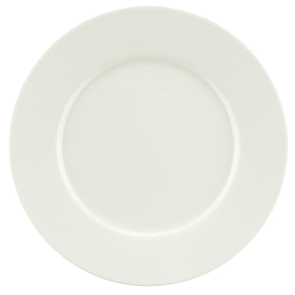 Bauscher Hepp 690029-425440 11-1/4 Inch Diameter Round Plate Porcelain Rimmed Bauscher Hepp 690029-425440 11-1/4 Inch Diameter Round Plate Porcelain Rimmed