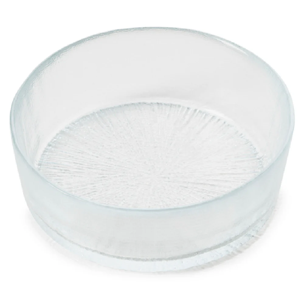Revol 655388 9-3/4 Oz Glass Soup Salad Pasta Cereal Bowl Clear 4-3/4 Inch Revol 655388 9-3/4 Oz Glass Soup Salad Pasta Cereal Bowl Clear 4-3/4 Inch