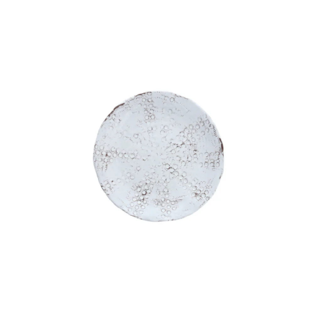 Fortessa DV.MD.VF0479WT 9 Inch Dishwasher Safe Round Salad Plate Melamine White