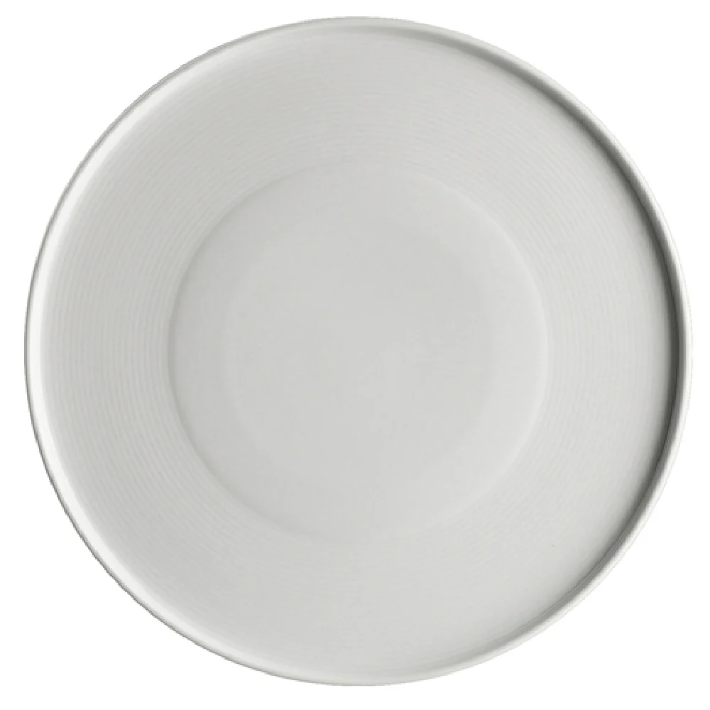 Steelite 6327P853 11 Inch Round Platter Porcelain Blue-White Coupe