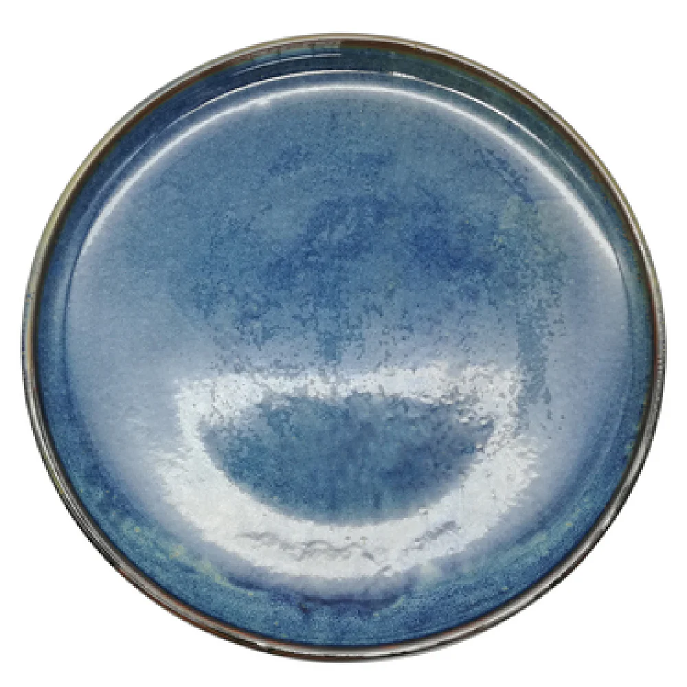 Bon Chef 2100021P 10-1/4 Inch Round Dinner Plate Porcelain Aqua Blue with Chip Warranty Bon Chef 2100021P 10-1/4 Inch Round Dinner Plate Porcelain Aqua Blue with Chip Warranty