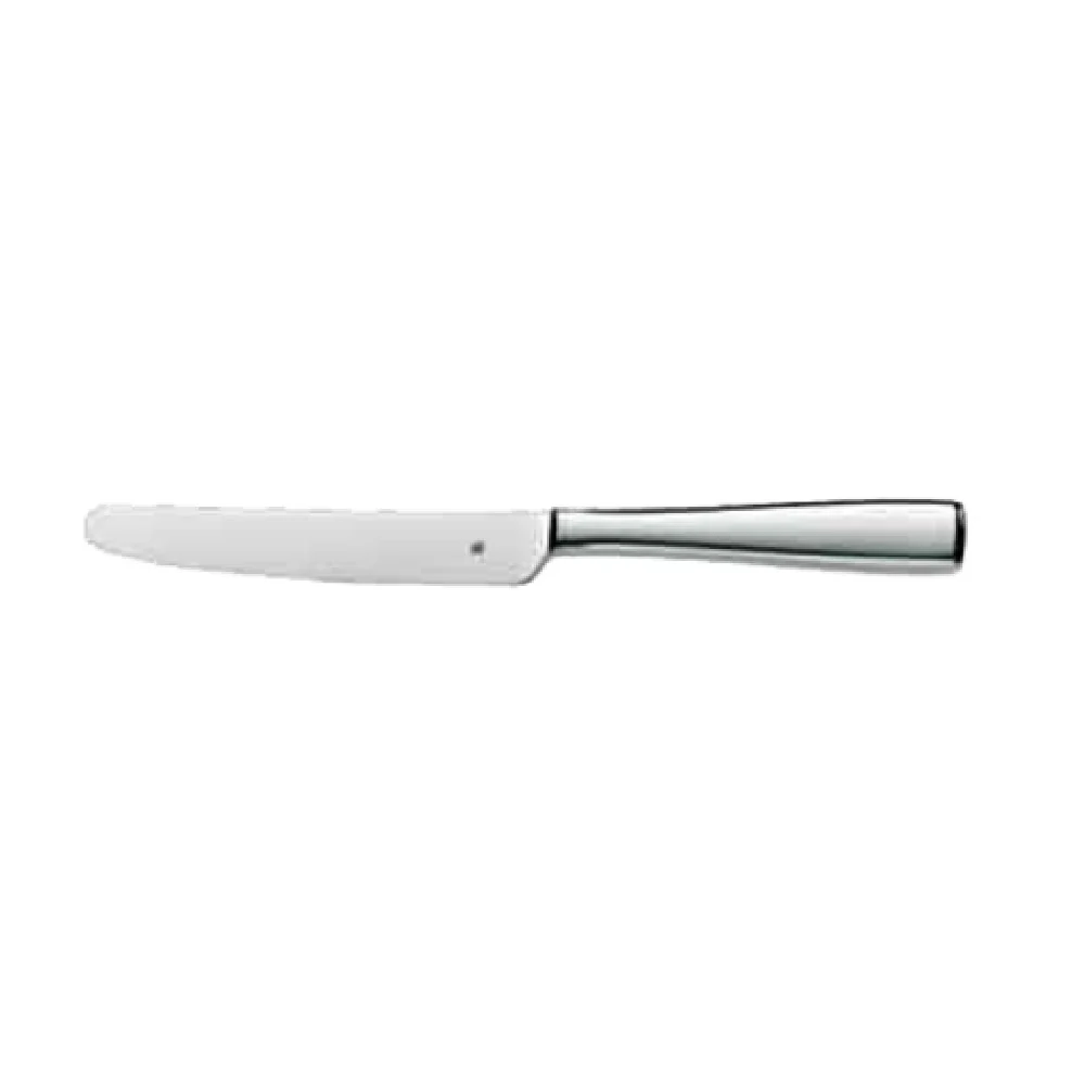 BauscherHepp 12.7903.6047 9-3/4 Inch Hollow Handle Dinner Knife 18/10 Stainless Steel