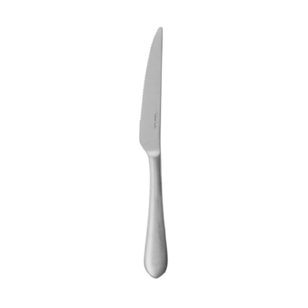 Steelite 6026SX056 9-3/4 Inch Blade 18/10 Stainless Steel Steak Knife Steelite 6026SX056 9-3/4 Inch Blade 18/10 Stainless Steel Steak Knife