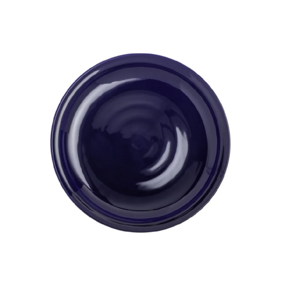 Steelite 7801ZM5009 10 Inch Plate Round Blue Melamine with Creations Finish