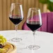 Acopa Silhouette 20 oz. Wine Glass - Sample Acopa Silhouette 20 oz. Wine Glass - Sample