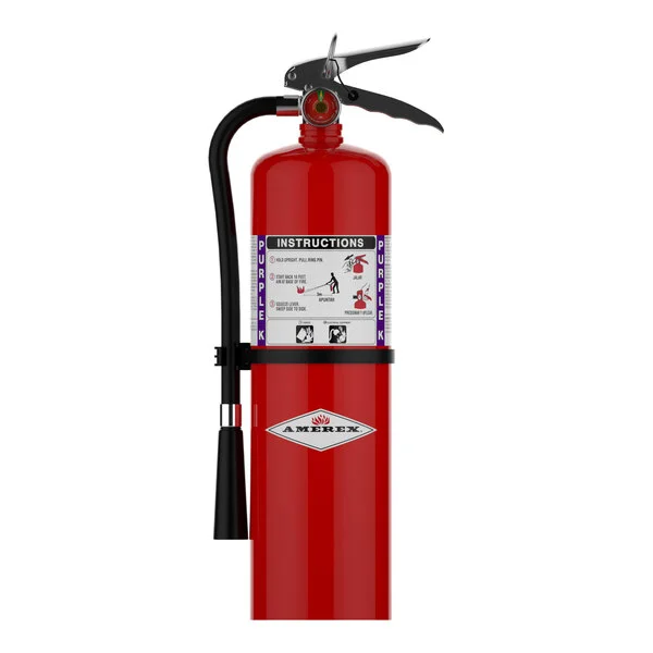 Amerex B460 10 lb. Purple K Dry Chemical Fire Extinguisher with Hose and Nozzle 14965 - UL Rating 80B:C