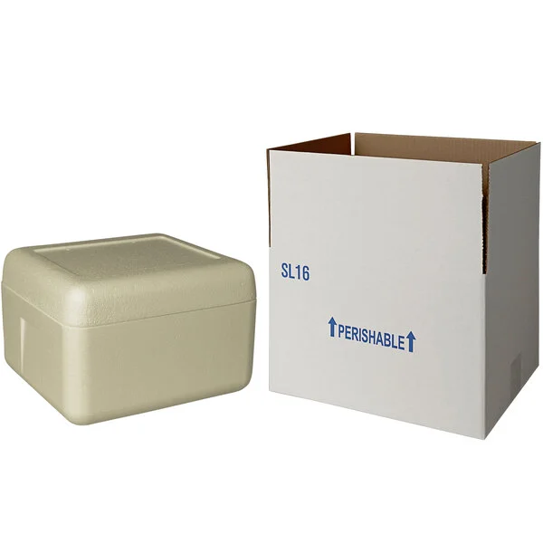 Insulated Shipping Box with Biodegradable Cooler 12 1/8