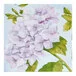 Sophistiplate Hydrangeas Paper Cocktail Napkin - 240/Case Sophistiplate Hydrangeas Paper Cocktail Napkin - 240/Case