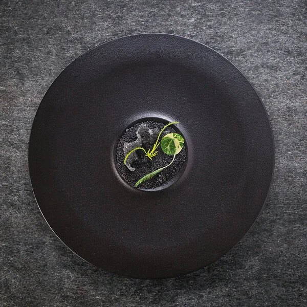 RAK Porcelain Neo Fusion 11 13/16 RAK Porcelain Neo Fusion 11 13/16