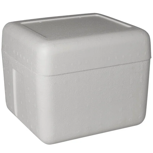 Insulated Foam Cooler 12 1/8
