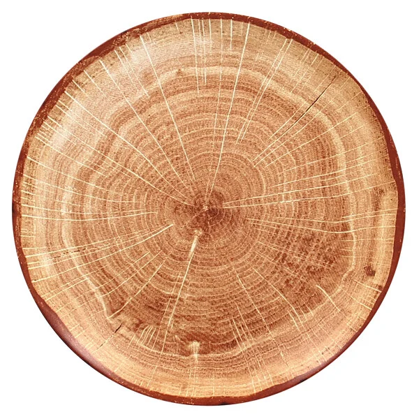 RAK Porcelain Woodart 8 1/4