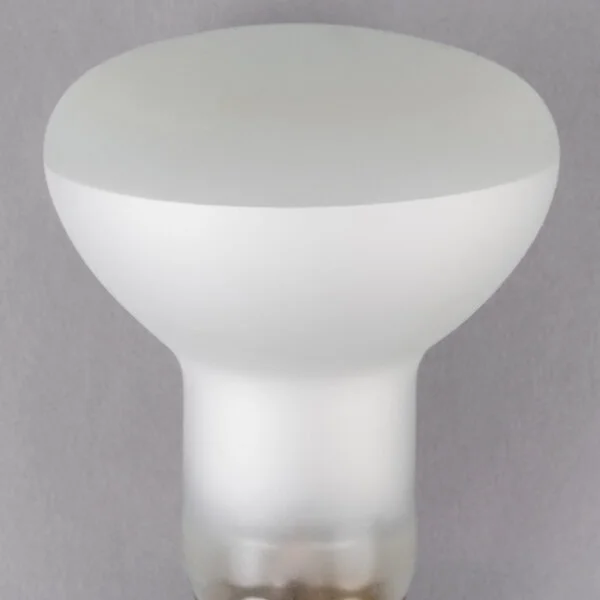 Satco S4886 50 Watt Frosted Shatterproof Finish Incandescent Rough Service Flood Light Bulb - 120V (R20) Satco S4886 50 Watt Frosted Shatterproof Finish Incandescent Rough Service Flood Light Bulb - 120V (R20)