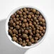 Hometown Provisions Whole Allspice 3.75 lb. Hometown Provisions Whole Allspice 3.75 lb.