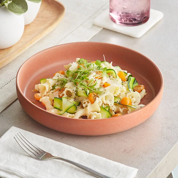 Acopa Pangea 22 oz. Terra Cotta Matte Porcelain Pasta Bowl - Sample Acopa Pangea 22 oz. Terra Cotta Matte Porcelain Pasta Bowl - Sample