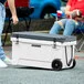 CaterGator CG65PAW Panda 65 Qt. Mobile Rotomolded Outdoor Cooler / Ice Chest CaterGator CG65PAW Panda 65 Qt. Mobile Rotomolded Outdoor Cooler / Ice Chest