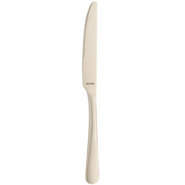 Amefa 1410AVB000335 Austin Champagne 8 3/8 Amefa 1410AVB000335 Austin Champagne 8 3/8