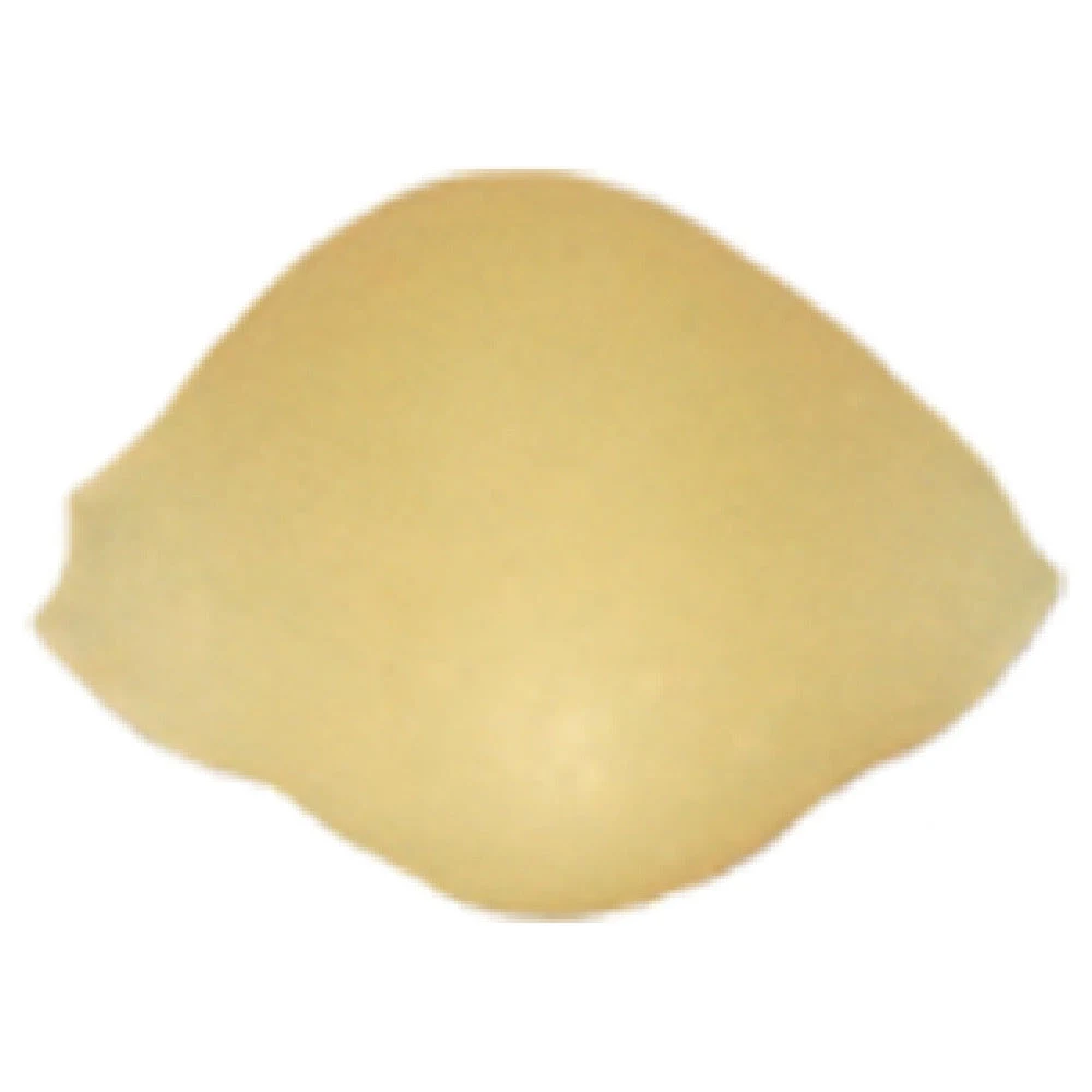 Arcobaleno Pasta Equipment AEX440 and AEX440M#160 15mm Diameter Extruder Die Shell Bronze